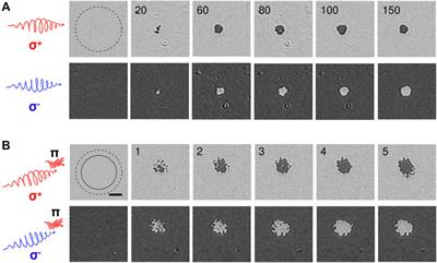 Efficient All-Optical Helicity Dependent Switching of Spins in a Pt/Co/Pt Film by a Dual-Pulse Excitation